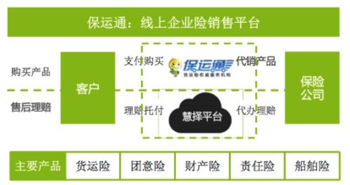互聯(lián)網保險的初級階段 現(xiàn)有模式與個人服務探析